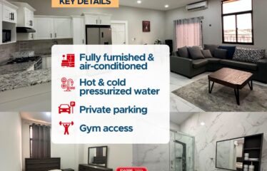 Full Furnished 2-Bedroom Apartment