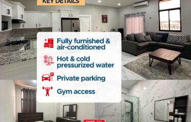 Fully Furnished 2-Bedroom Apartment – Sherrif St